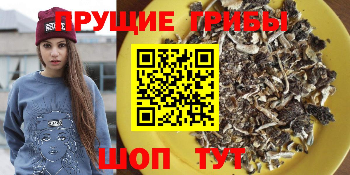 Рассказово  Галлюциногенные грибы прущие грибы  Вход с VPN 